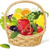 fruit basket on white background